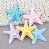 Accesorios de Resina Serie Marina Decoración DIY Tanque de Peces Paisaje de Estrellas de Mar Plataforma de Muebles para el Hogar Micro Adornos Venta al Por Mayor