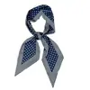 Camisa de Colocação Externa Lenço de Seda Estreito Fino Elegante Feminino Pequeno Longo Moda Primavera e Outono Versátil Sensação de Alto Padrão Fita Tira de Cabelo Lenço