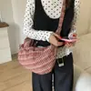 Versão Coreana Ins Nicho Outono e Inverno Versátil Xadrez Bolsa Dumpling 2025 Nova Moda Comutador Leve Cordão Bolsa Transversal