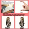 Colgante Plano de Acrílico para Coche de Gato Mapache Nuevo Transfronterizo Decoración de Espejo Retrovisor Adorno Colgante de Coche de Dibujos Animados