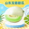 Melón Dulce Yugu de Shandong, envío directo 3/5/ 4.5 kg textura de helado melón dulce crujiente caja de regalo fruta fresca