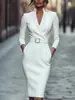 Fabricante de Vestido Elegante de Temperamento con Cuello Alto, Manga Larga, Bodycon de Cintura Alta, Hecho a Medida