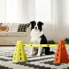 Equipo de Entrenamiento de Agility para Perros Cono Barril Obstáculo Vallas Reunión Deportiva Salto Ejercicio Físico Equipo Marcador Palo Border Collie