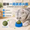 Bola de Catnip giratória de parede, pirulito brinquedo de morder, petisco para gatos, ferramenta de autoentretenimento com bastão de matatabi