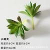 Suculentas Simuladas, Decoraciones de Plantas Verdes, Combinación de Mini Adornos de Cactus, Plantas Suculentas en Maceta, Bonsái al Por Mayor