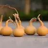 Silbato de Calabaza Natural Americano Retorcido a Mano, Calabaza de un Solo Borboteador con Forma de Ajo, Calabaza Pequeña de un Solo Mango, Calabaza de Forma Única para Manualidades y Otros Usos