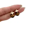 Pendientes de Plata 925 con Cierre de Mariposa Estilo Yadan Retro Lujo Ligero Temperamento Ojo de Tigre Maillard Estrella de Cuatro Puntas Dulces Frescos Versátiles