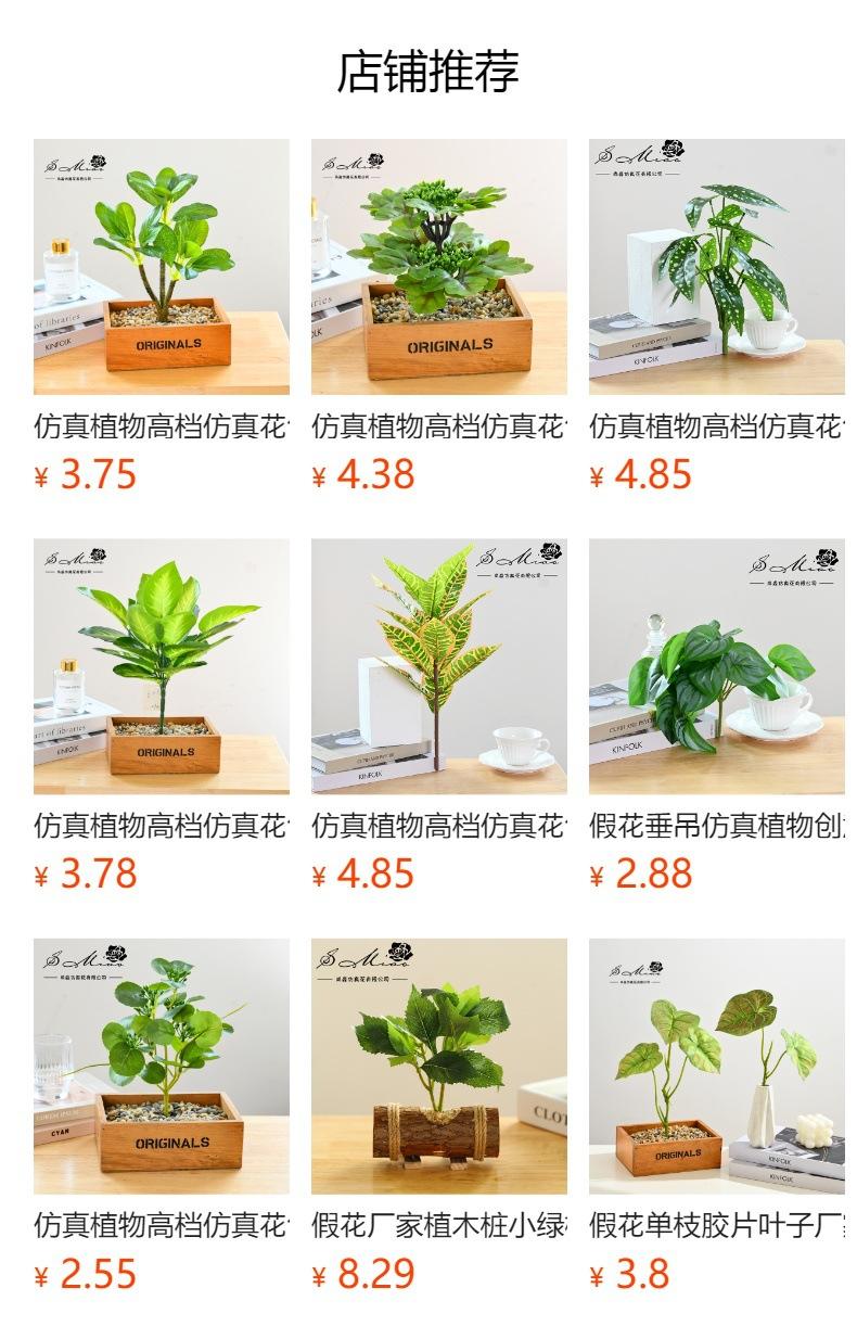 No se puede hacer clic en la vista previa. Después de publicar, puedes hacer clic para ir a la página del producto correspondiente.