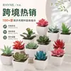 Más de 100 Tipos de Combinaciones de Plantas Suculentas Artificiales en Maceta Mini, Ventas Transfronterizas Populares, Estilo Sencillo Decoración del Hogar Flores Artificiales y Plantas Verdes, Directo de la Fábrica Fuente