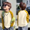Camiseta de cuello redondo de terciopelo alemán para niños, de otoño e invierno, de manga larga, cálida, con empalmes, top de dibujos animados para niños