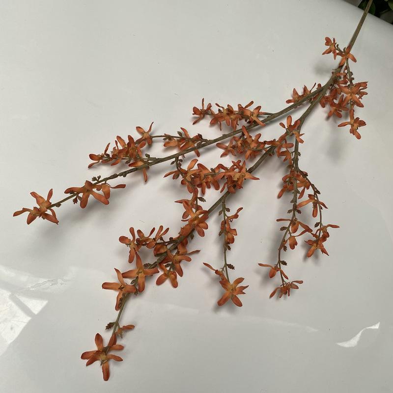 焦糖