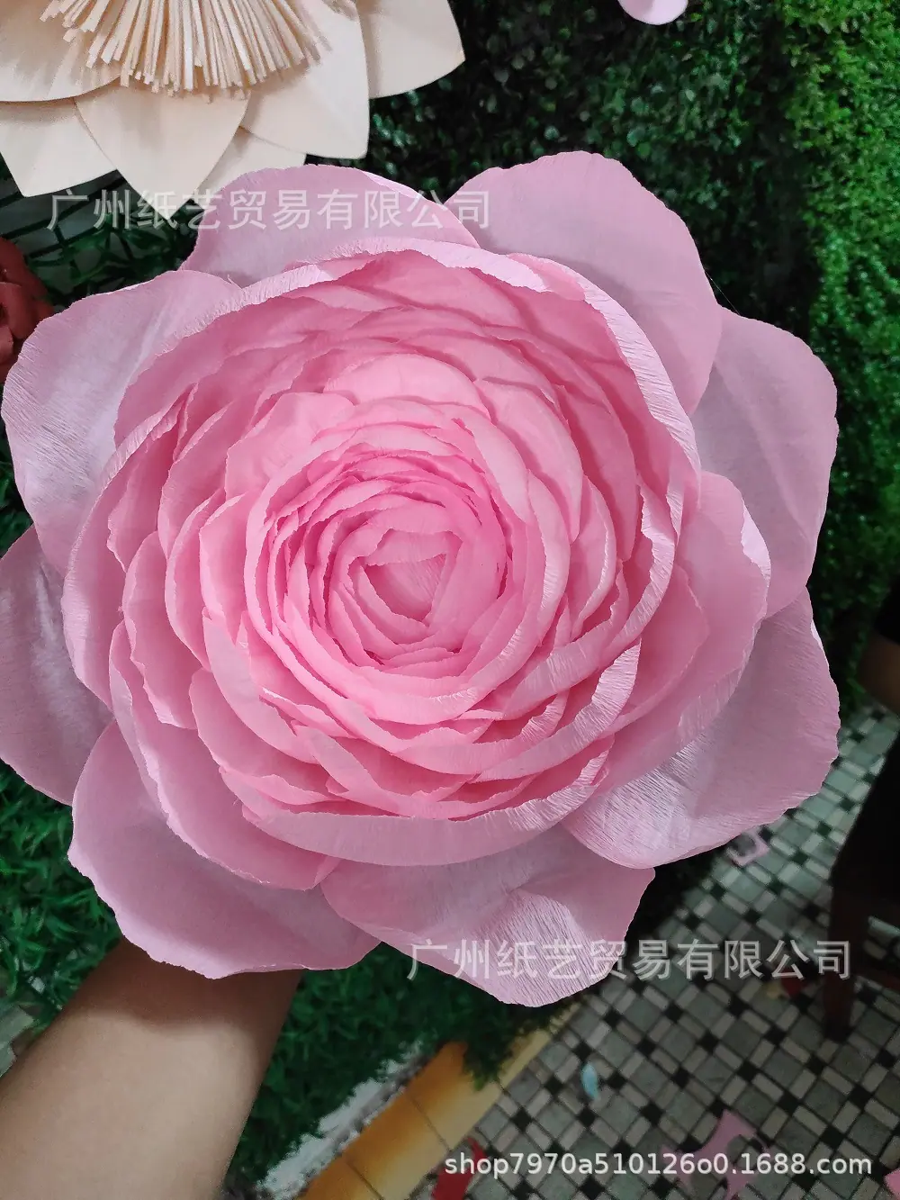 微信图片_20200229194755