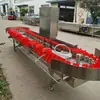 Máquina pesadora de pepino de mar máquina pesadora de mariscos máquina pesadora clasificadora automática máquina clasificadora de pescado