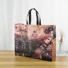 Bolso de mano creativo no tejido para mujer en stock Recubrimiento de película Impresión a color Bolsa de compras de ropa no tejida Bolsa no tejida termosellada