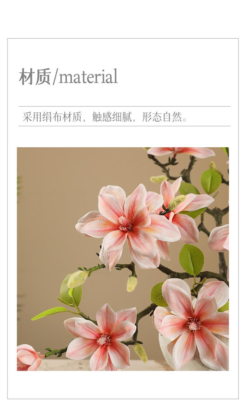 娜拉小西湖玉兰_02.jpg