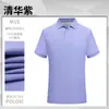Camisa Polo de Secagem Rápida Personalização Empresa Roupa de Trabalho Anti-amassado Roupa de Trabalho Personalização de Camisa Polo Camisa Polo Fácil de Lavar Roupa de Trabalho