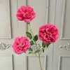 Flores Artificiais de Lichia e Peônia Atacado para Decorações de Corredor de Casamento, Flores Falsas para Arranjos de Chão, Arranjos Florais de Boas-Vindas, Vitrines de Shopping Centers e Paisagismo com Arte Floral