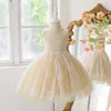 Vestido de actuación para niñas de Amazon transfronterizo, vestido de princesa de malla bordada con cuello de perlas, vestido para desfiles y actuaciones de piano