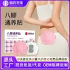Parche Yuanhu Wulingzhi, Parche Calentador de Puntos de Acupuntura, Parche de Moxibustión, Parche Caliente para Cintura y Abdomen, Parche Calentador de Puntos de Acupuntura de Artemisa al por Mayor, Parche de Ocho Puntos