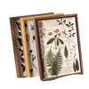 Moldura para espécimes de plantas, moldura de picture frame vintage em estilo floresta oca tridimensional de pinha e folha feita à mão, ornamento decorativo de mesa