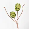 Plantas Verdes Artificiais Simuladas, Móveis para Casa, Pinhas Decorativas, Adereços para Fotografia de Frutas de Eva, Arranjos de Flores Suculentas, Arranjos Florais