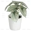 En Stock Hoja Única de Planta Verde Plástico Bonsái Decoración del Hogar Amazon Escritorio Maceta Adorno Pequeño Fabricante de Comercio Exterior