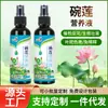 Solução nutritiva especial para lótus de vaso hidroponia flores ornamentais plantas verdes enraizamento solução nutritiva especial cultivo de flor de nenúfar lótus