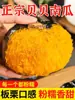 () Calabaza Pequeña Sabor Castaña Beibei Polvo Fresco de Calabaza Beibei Pegajosa y Dulce para Mujeres Embarazadas y Niños