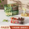 Caixa de Armazenamento de Cozinha Transparente de Camada Dupla para Cebolas, Gengibre, Alho e Grãos, Caixa de Armazenamento para Conservação na Geladeira, Caixa Portátil de Alta Aparência para Lanches e Frutas ao Ar Livre