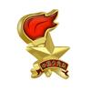 Emblema da Equipe Emblema do Jovem Pioneiro Insígnia de Aluno do Ensino Fundamental Tipo Padrão Tipo Alfinete de Segurança Fivela Magnética Alfinete Forte Estilo 2021 Espessado