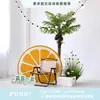 Cenário de Montagem de Evento com Tema de Verão Display de Loja em Shopping de Verão Decoração de Prancha de Surf Fundo de Decoração com Placa Kt