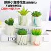 Macetas para Suculentas, Elegantes Macetas de Porcelana Blanca, Macetas para Suculentas, Macetas tipo Cesta Rectangular Sencilla de Cerámica, Macetas Lindas
