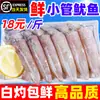 Calamares Pequeños Recién Hervidos, Mariscos Tubo de Pluma Frescos Congelados, Calamares Grandes Enteros, Productos Acuáticos de Calamares Pequeños