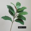 Planta nórdica Qin Ye Fanyan Magnolia Hoja Simulación Planta Verde Simulación Árbol de Sentido Avanzado Decoración Decoración del Hogar Venta al por mayor