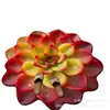 Tapete de Chão Diatomáceas Estéreo 3D Tapete de Secagem Rápida para Plantas Suculentas Tapete para Banheiro Sala de Estar Tapete Absorvente de Água Antiderrapante