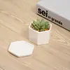 Creativo simple carnoso mini cerámica pequeña maceta maceta carne decoración de escritorio pequeña hexagonal maceta venta al por mayor