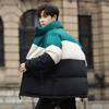 Jaqueta de Penas Masculina Nova de Inverno com Gola Alta para Jovens Estilo Coreano Tendência Pão Outwear Casual Curta Espessada