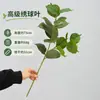 Estilo de Celebridad de Internet Césped Laxuns Melaleucas Doradas Pomposas Pino de Masson Lirio Bambú Seda Mil Bosque Verde Boda Flor de Simulación