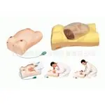 高级电脑孕妇检查模型医学模型YR-W2