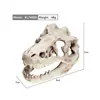 Acuario Tanque de Peces Adornos Paisajismo de Plantas Acuáticas Calavera de Resina de Dinosaurio Paisajismo/Decoración de Dragón Barbudo Reptil Lagarto