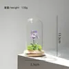 Regalo del Día de la Madre: Flor de iris de cristal de Zibo en una cúpula de cristal, flor eterna, artesanía de flor de cristal hecha a mano, venta al por mayor