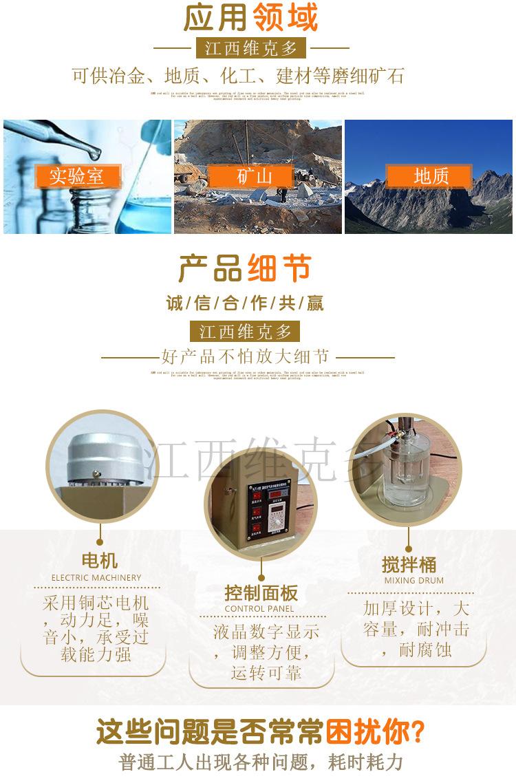 浸出搅拌机 (3)