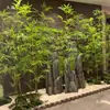 Planta Verde de Bambú Artificial Paisajismo Adorno de Interior Decoración de División Maceta de Piso Decoración Estilo Zen Planta Biomorfa