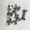 Clavos Publicitarios de Doble Cabeza, Tornillos de Doble Cabeza, Clavos para Vidrio de Cobre Puro, Clavos para Fijación de Tableros Acrílicos, Clavos para Espejos, Tornillos de Abrazadera Sólida