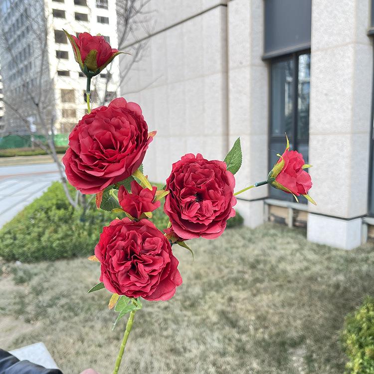 7头单支奥斯丁玫瑰-sxwlx-红色.JPG