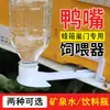 Alimentador de Pico de Pato Puerta de Colmena Alimentador Alimentador de Azúcar para Abejas Caja de Azúcar de Plástico para Beber Agua Herramientas de Apicultura