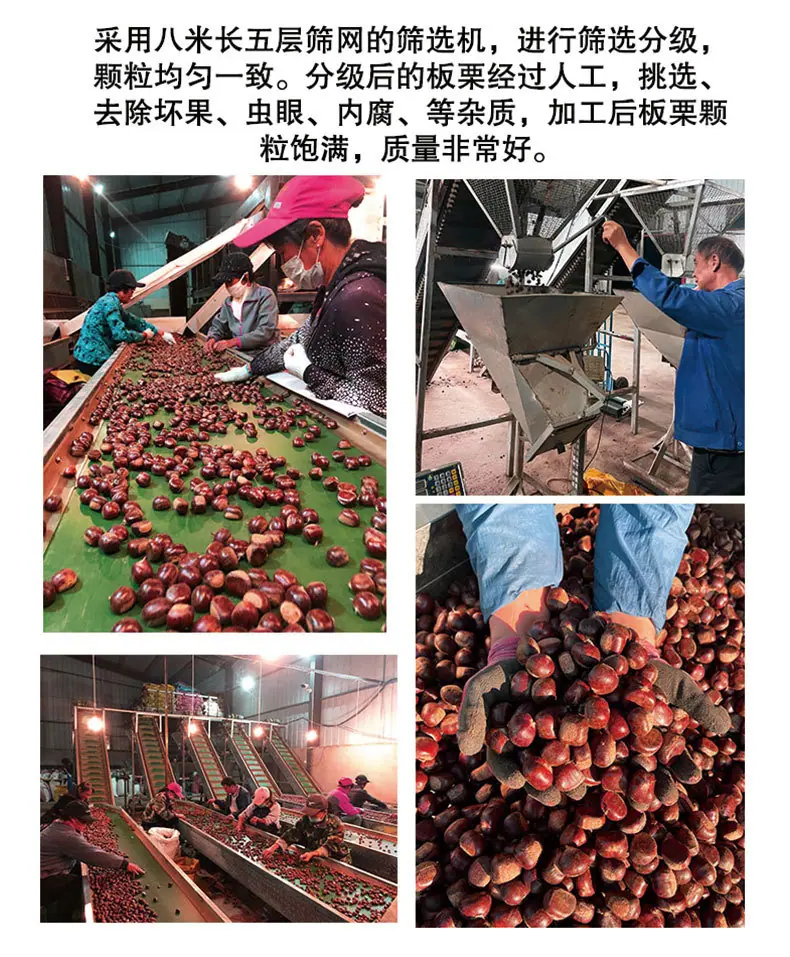 新老树_12.jpg