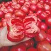 Tomates Recién Cosechados de Panzhihua, Sichuan, Aptos para Comer Crudos, Cultivados Naturalmente en Campo Abierto, Caja Completa de Tomates de Temporada