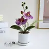 Flores artificiais com duas flores e uma fruta, toque realista, pequeno bonsai de Phalaenopsis, adereços de plantas verdes para fotografia, ornamentos de vaso de flores decorativos para sala de estar