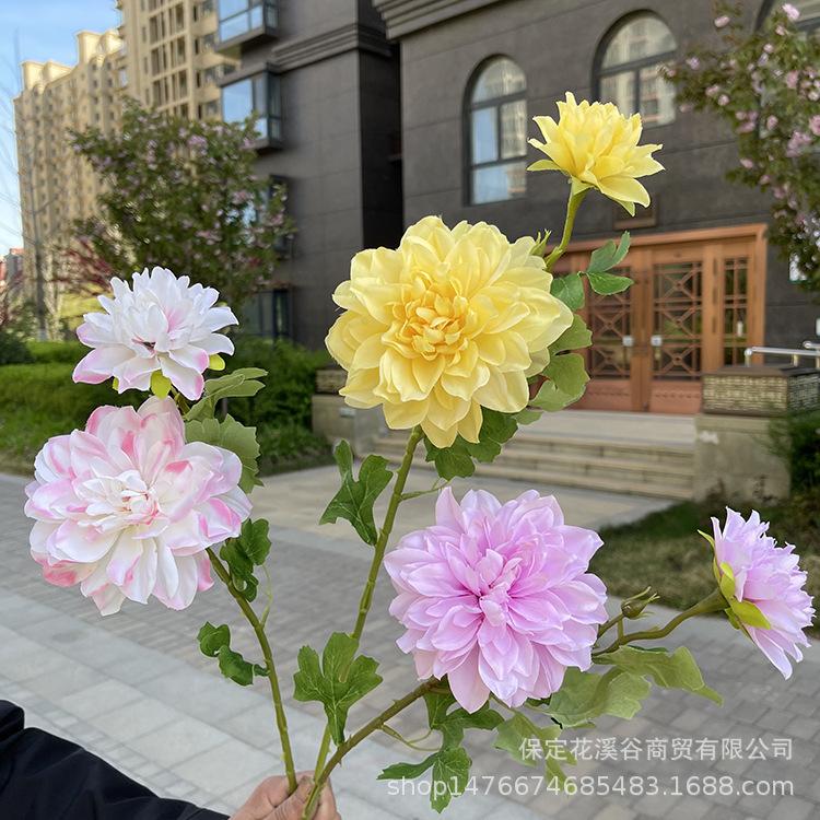 主图 花溪谷.JPG